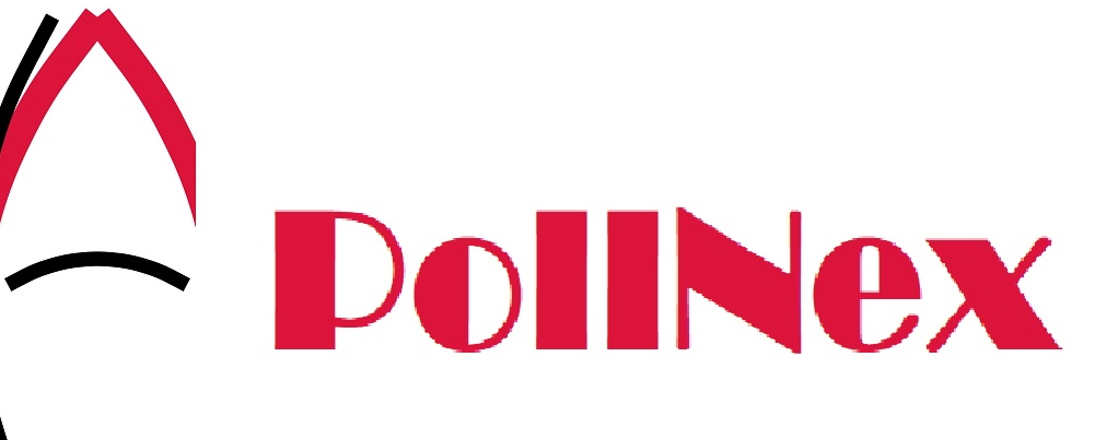 Logo PollNex